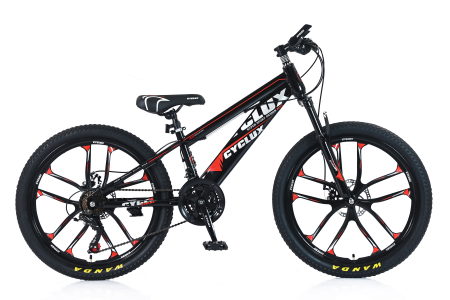Buy 24 inch bike online