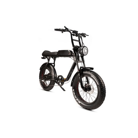 Avon A73 Elektrische Fatbike - 250w Vermogen Gratis Rijklaar Bezorgd