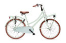 Antilope Mini Cargo X1 Transport 24 Inch Meisjesfiets Mat Lichtgroen