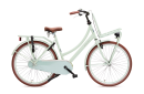 Antilope Mini Cargo X1 Transport 26 inch meisjesfiets Mat Lichtgroen